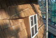 Fassaden, Sanierung und Dächer für historische Bauten