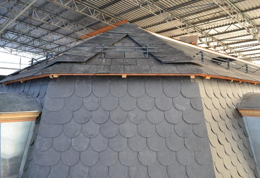 Einfamilienhäuser & Mehrfamilienhäuser