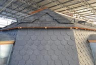 Einfamilienhäuser & Mehrfamilienhäuser