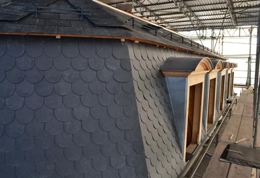 Einfamilienhäuser & Mehrfamilienhäuser