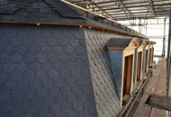 Einfamilienhäuser & Mehrfamilienhäuser