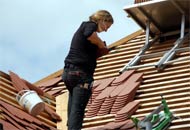 Einfamilienhäuser & Mehrfamilienhäuser