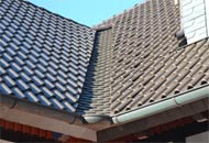 Einfamilienhäuser & Mehrfamilienhäuser