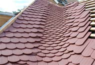 Einfamilienhäuser & Mehrfamilienhäuser