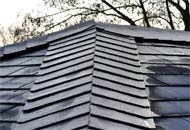 Einfamilienhäuser & Mehrfamilienhäuser