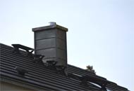 Einfamilienhäuser & Mehrfamilienhäuser